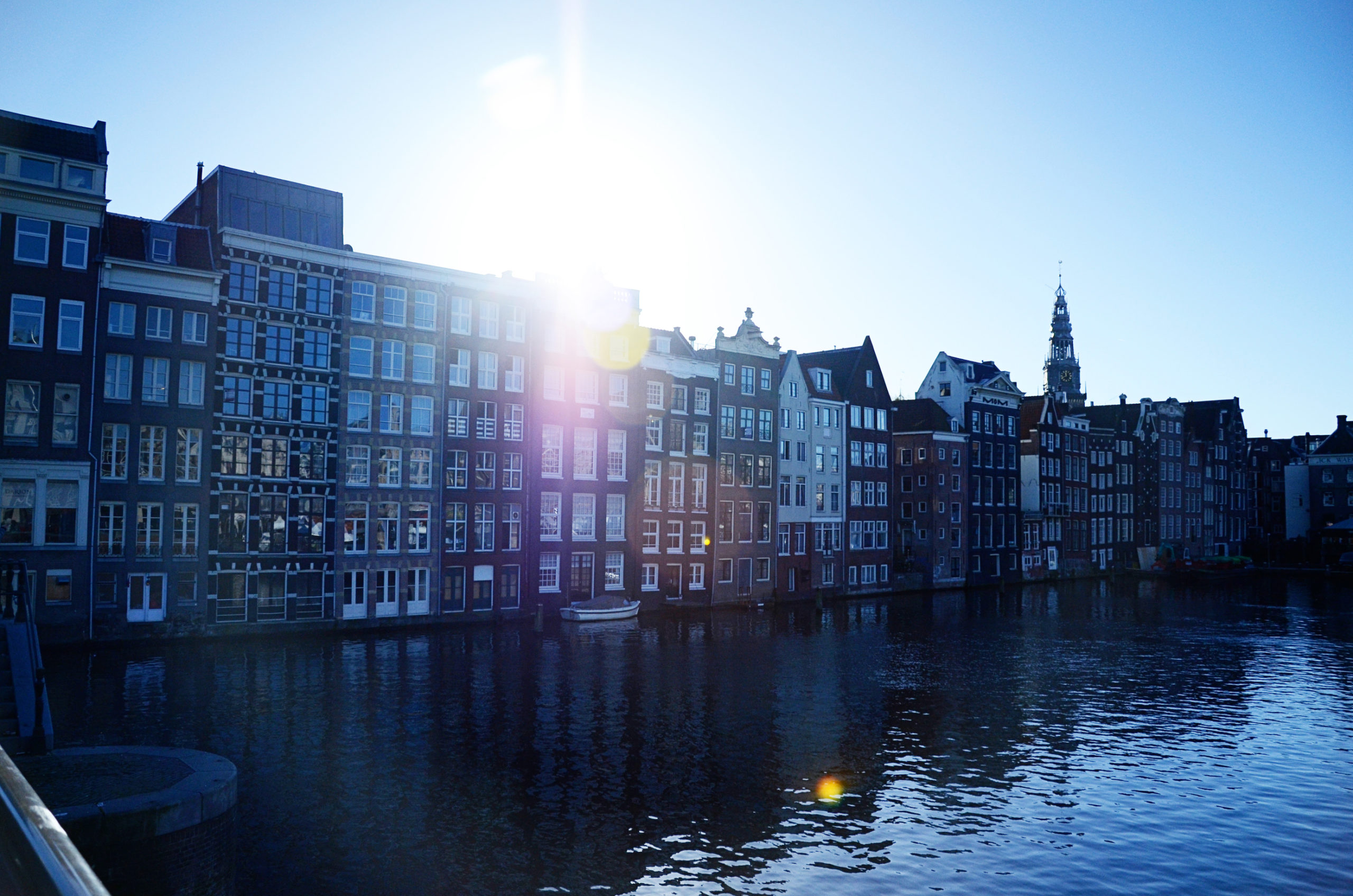 how-to-spend-a-layover-in-amsterdam-terra-goes