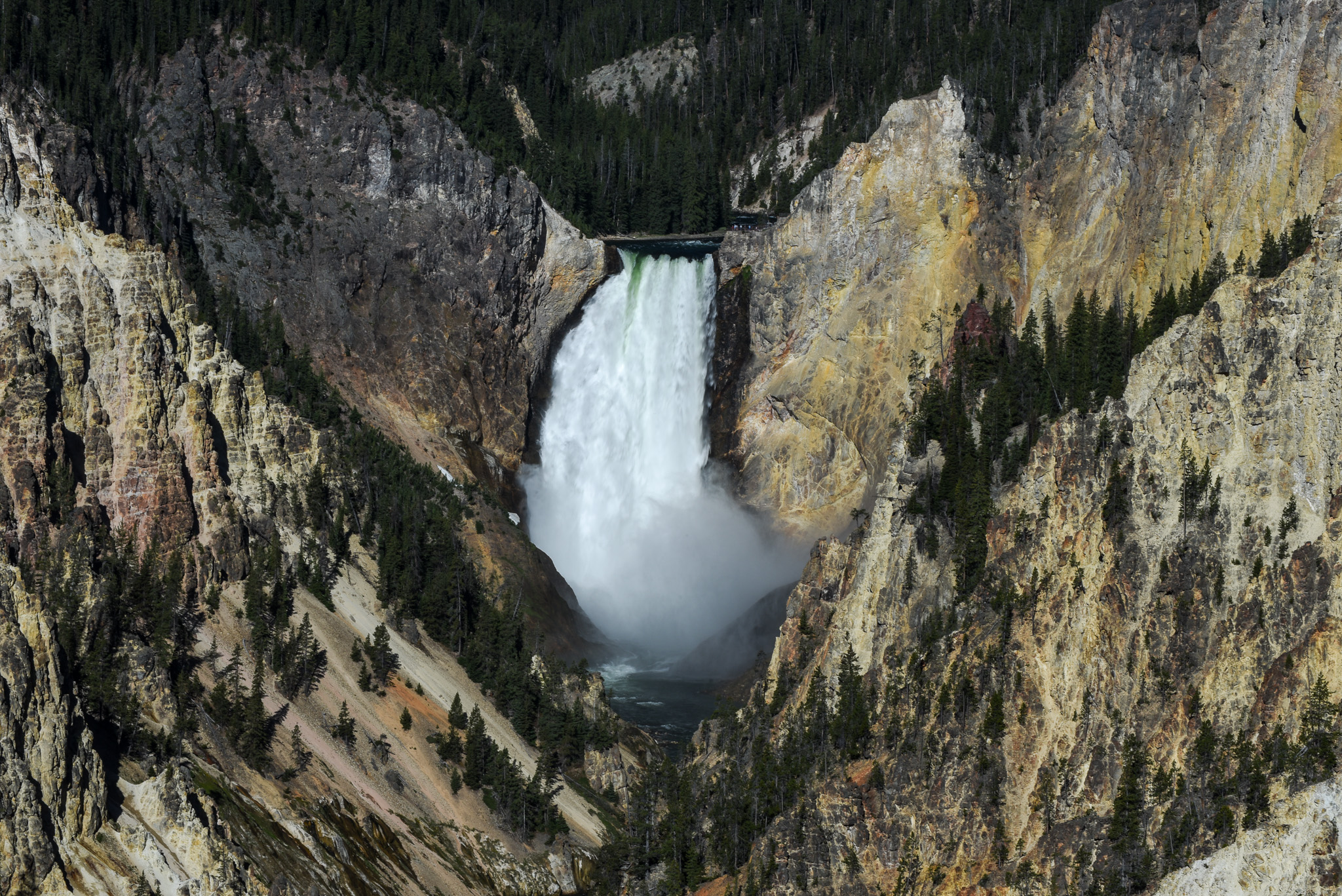 Yellowstone, Part II: Pillow Fights, Horde Evasion & Camping Cats