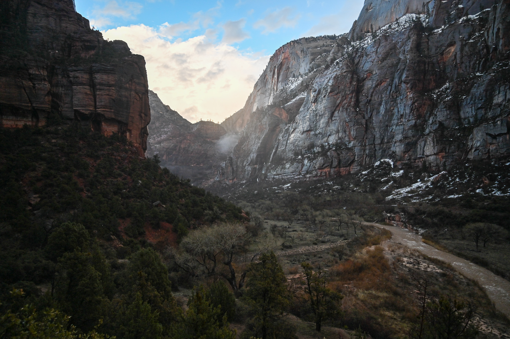 That Time I Met a California Condor on Angel’s Landing