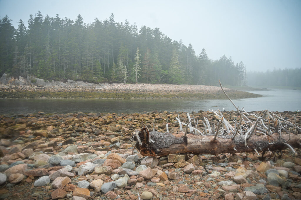 6 Days Exploring Coastal Maine || 
terragoes.com